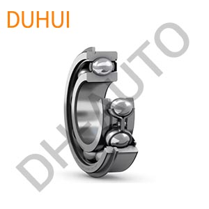 Wheel Bearing 6304-ZNR