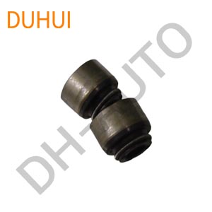 Oil Seal 9008031046