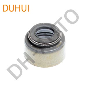 Oil Seal 9008031085
