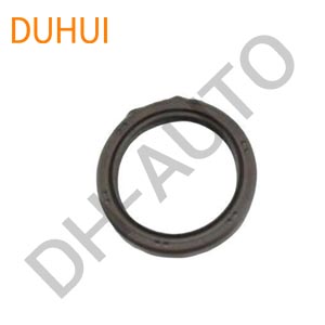 Oil Seal 9031138089