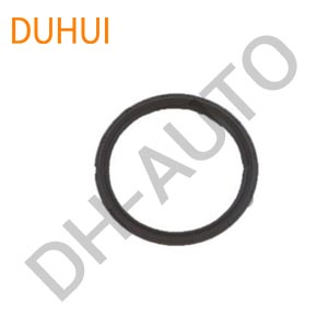 Oil Seal 9031189003