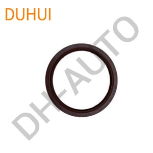 Oil Seal 9031192006