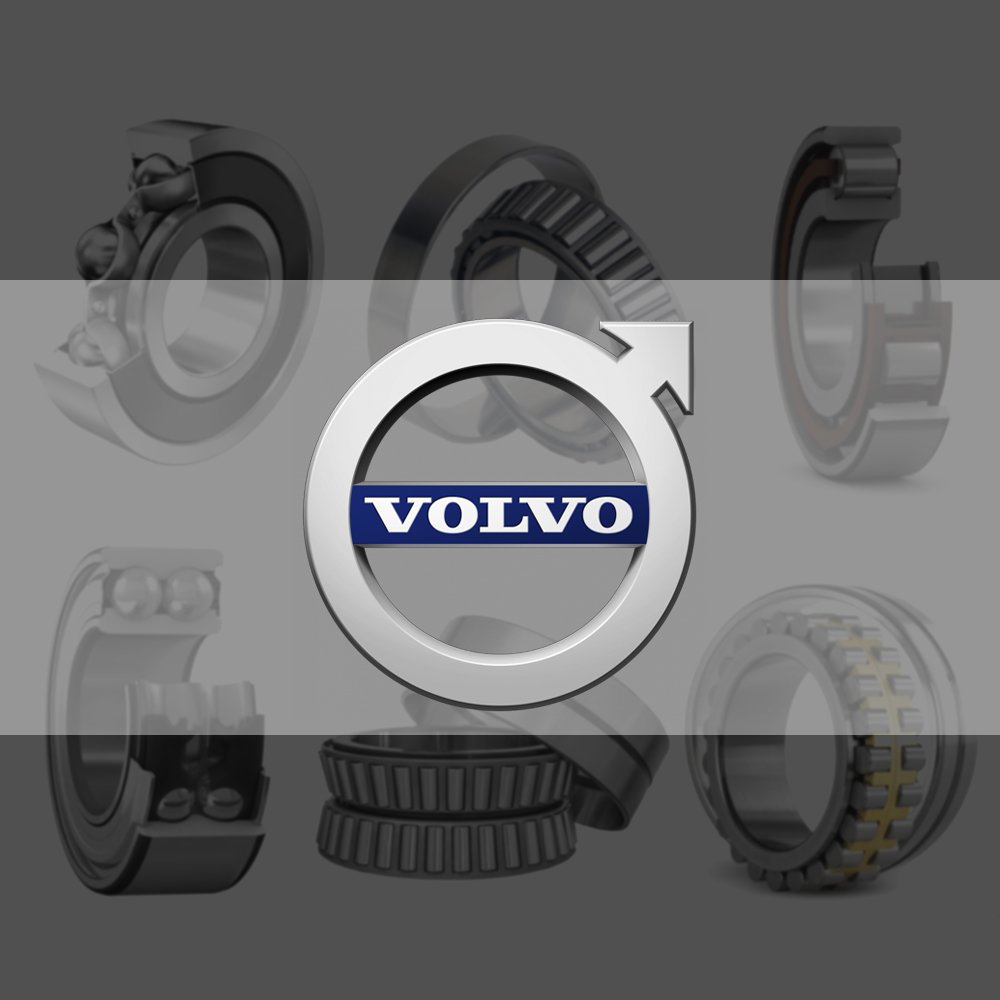 Volvo-wheel bearing