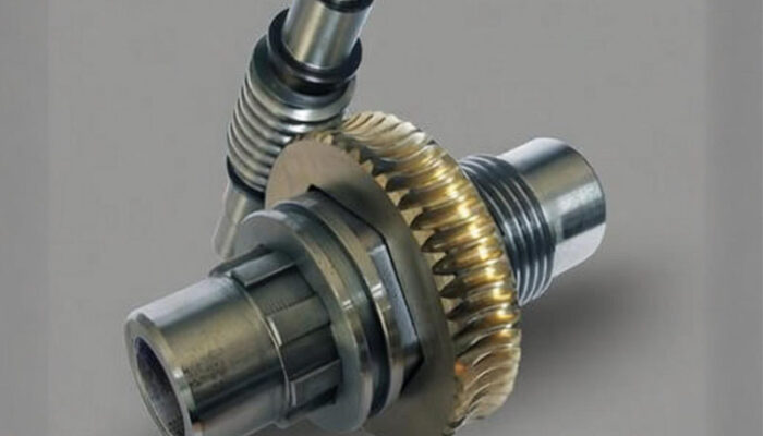 What are Worm Gears