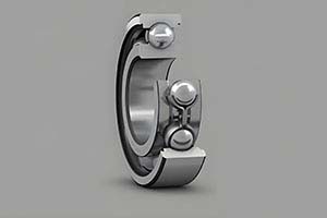 6300 Deep groove ball bearing with heavy-duty design supporting substantial radial capacity.