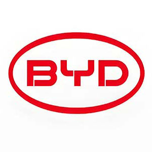 BYD-wheel-bearing