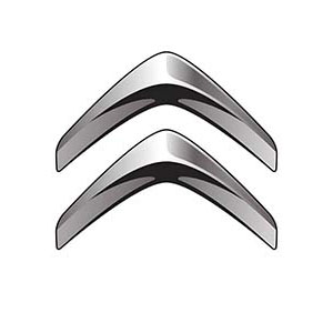 Citroen wheel bearings are identical to Peugeot for same platform years