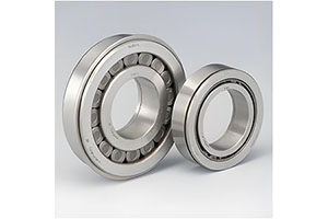 Uses cylindrical rollers as rolling elements, providing maximum radial load capacity for a given cross-section.