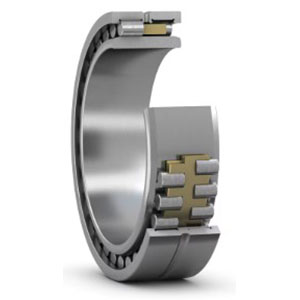 Double Row Cylindrical Roller Bearings