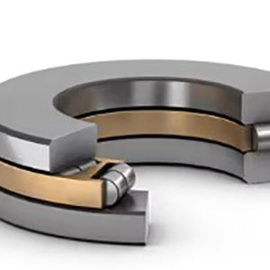 Two independent rows of rollers operating in parallel between a common shaft washer and housing washer.