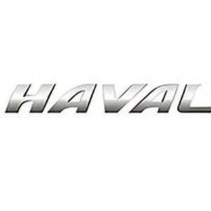 Haval wheel bearings for rear axles are press-in tapered roller units for H3 (2005–2012) and H5 (2010–2015) live axle designs.