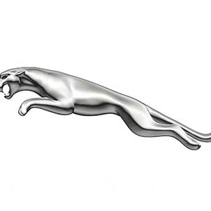 Jaguar wheel bearings for rear axles are press-in tapered roller units for XJ40