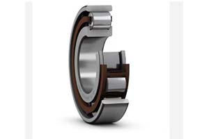 N Series Cylindrical roller bearing with outer ring without ribs, allowing bidirectional axial displacement.