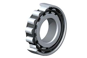 N206 Cylindrical bearing supporting heavy radial loads. Locking groove for axial restriction.