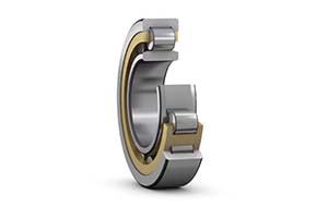 NU204-NU design bearing with two floating ribs. Allows inner ring axial movement in shafts.