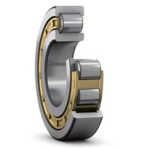 Single Row Cylindrical Roller Bearings
