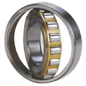 Single Row Spherical Roller Bearing