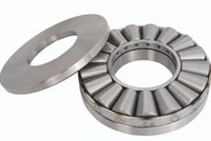 TTHD-1008 – in‑type cage design maximizing roller count and load capacity.