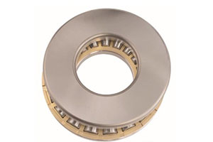 TTHD-1025 –Maximum-capacity configuration with full roller complement and pin cage.