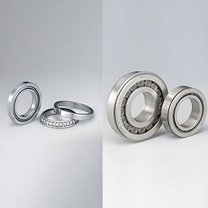 Tapered vs. Cylindrical Roller Bearings