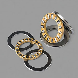 Thrust needle roller bearings (AXK series) consist of an axial needle roller and cage assembly fitted between two hardened washers (AS or LS).