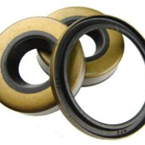 Oil Seal