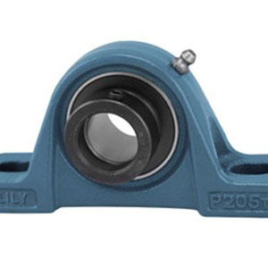 Pillow Block Bearings (P, PA, PH)