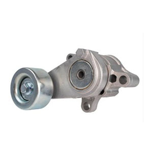 Separate Tensioner Bearings