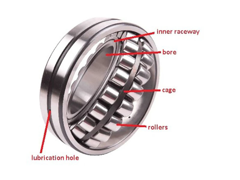 Cross section of spherical roller bearing showing spherical outer ring raceway, double rows of barrel-shaped convex rollers, inner ring with inclined raceways, and cage for self-aligning capability and combined radial-axial load support