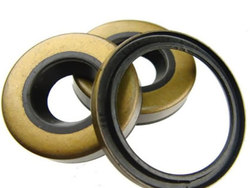 skeleton-oil-seal-lip-types-single-double-spring-non