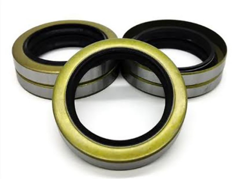 Cross section of skeleton oil seal with labeled components: main sealing lip contacting shaft, lip edge forming sealing line, dust lip for contamination exclusion, metal skeleton supporting shape, rubber body providing elasticity, and garter spring maintaining lip force`
