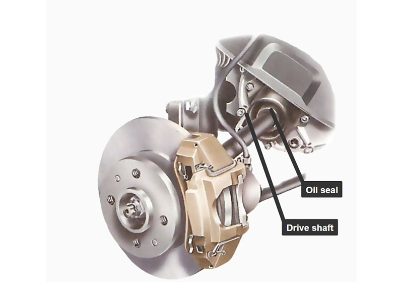 Transmission and Drivetrain Oil Seal Locations – Input, Output, Differential, Axle